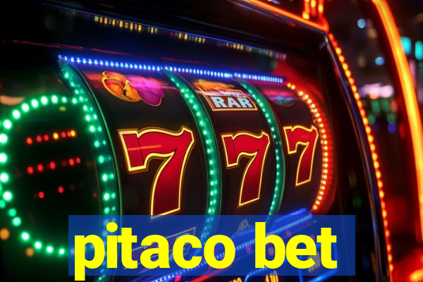 pitaco bet