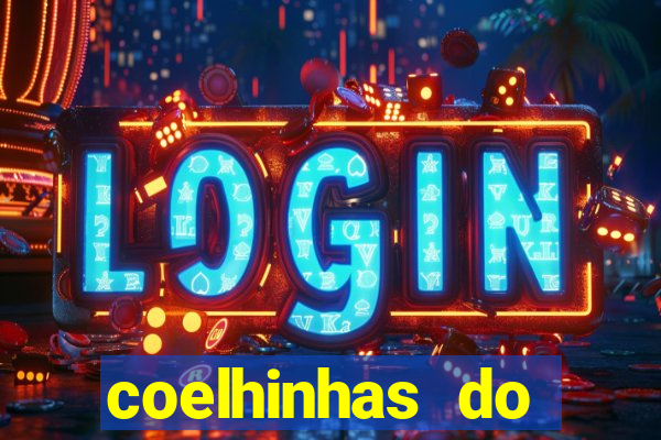 coelhinhas do brasil acompanhantes