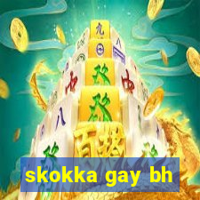 skokka gay bh