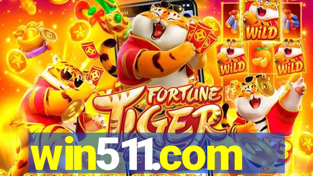 win511.com