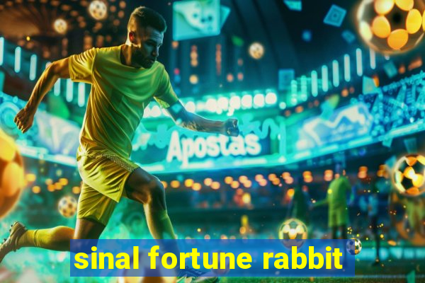 sinal fortune rabbit