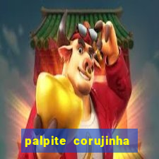 palpite corujinha de hoje