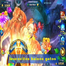 leucocitos baixos gatos