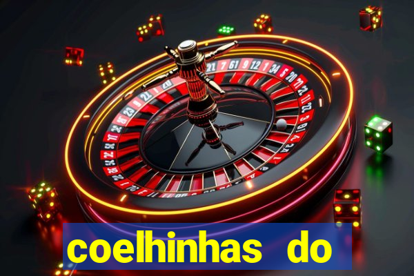 coelhinhas do brasil recife