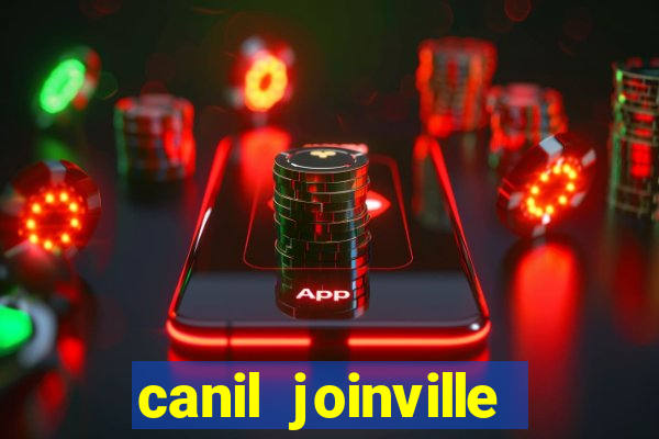 canil joinville vila nova