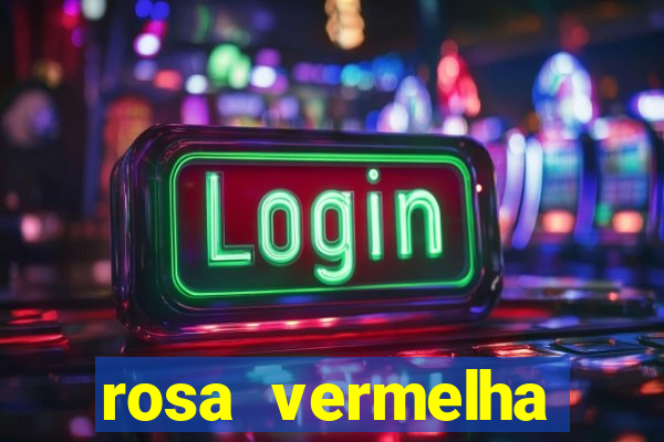 rosa vermelha (letra e cifra)