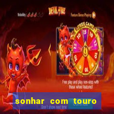 sonhar com touro bravo no mundo espiritual