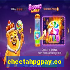 cheetahpgpay.com