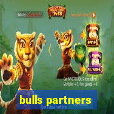 bulls partners