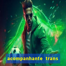 acompanhante trans baixada fluminense