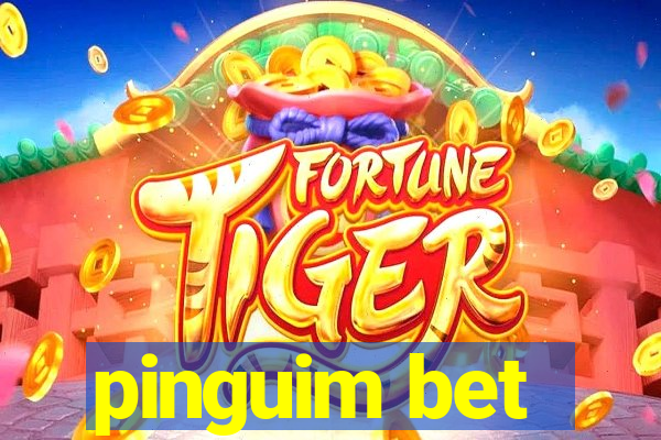 pinguim bet