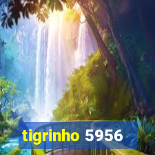 tigrinho 5956