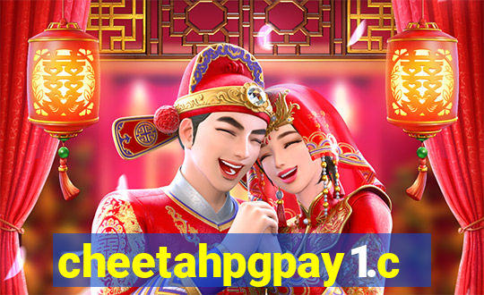 cheetahpgpay1.com