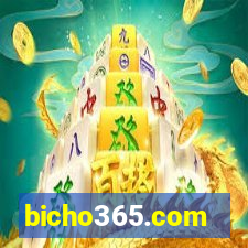 bicho365.com