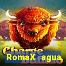 RomaX agua sanitaria fispq agua sanitaria romax