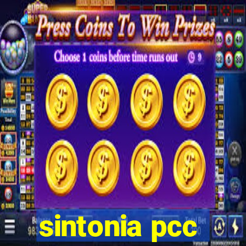 sintonia pcc