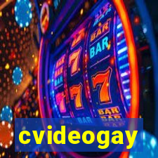 cvideogay