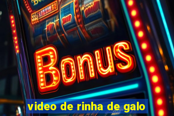 video de rinha de galo