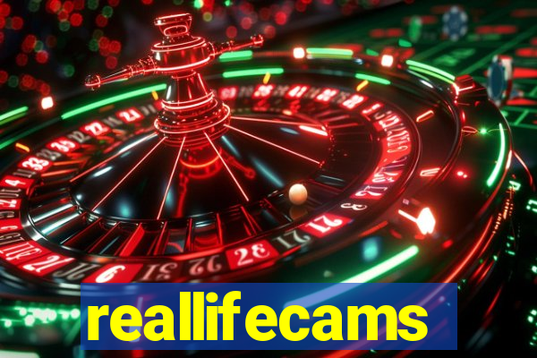 reallifecams