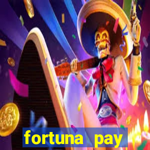 fortuna pay consultoria financeira ltda