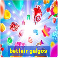 betfair galgos