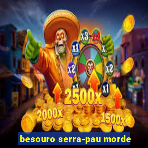 besouro serra-pau morde