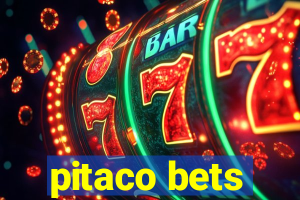 pitaco bets