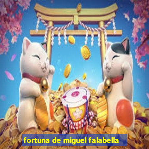 fortuna de miguel falabella