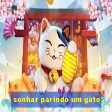 sonhar parindo um gato