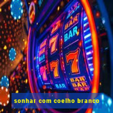 sonhar com coelho branco