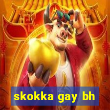 skokka gay bh