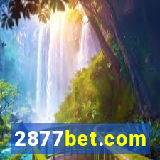 2877bet.com