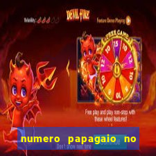 numero papagaio no jogo do bicho