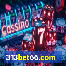 313bet66.com