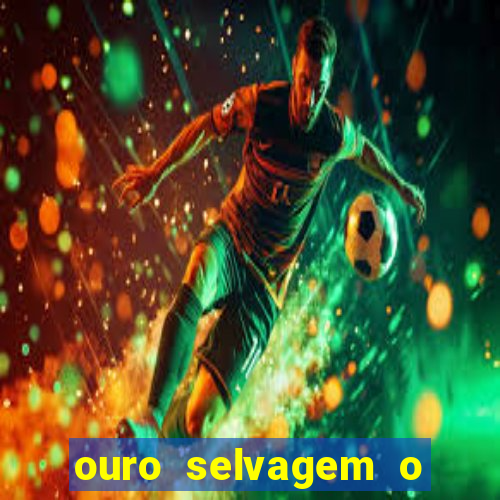 ouro selvagem o que aconteceu na vida