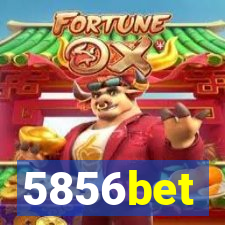 5856bet