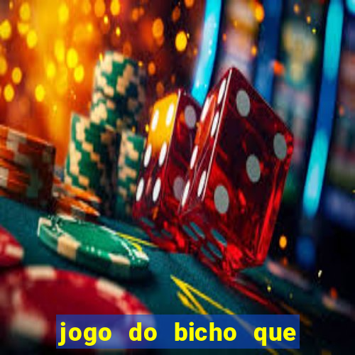 jogo do bicho que paga no pix