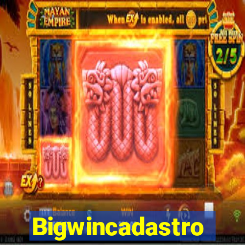 Bigwincadastro