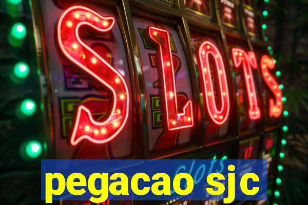 pegacao sjc