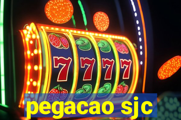 pegacao sjc