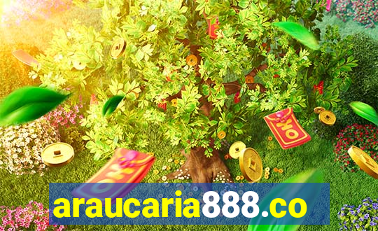 araucaria888.com