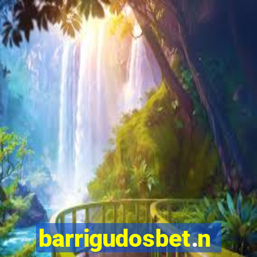 barrigudosbet.net