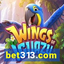 bet313.com