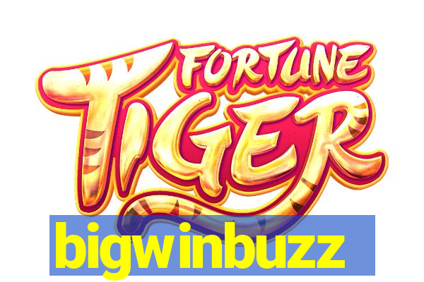 bigwinbuzz