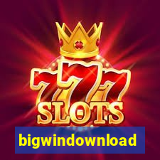 bigwindownload