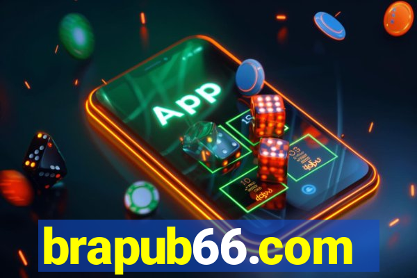 brapub66.com