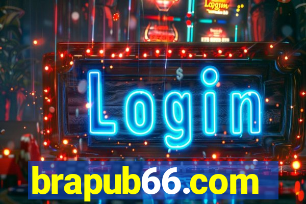 brapub66.com