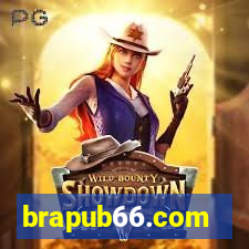 brapub66.com