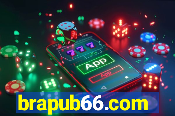 brapub66.com