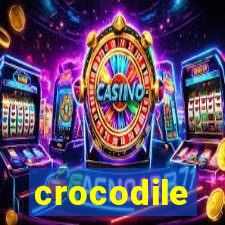 crocodile-pg.com